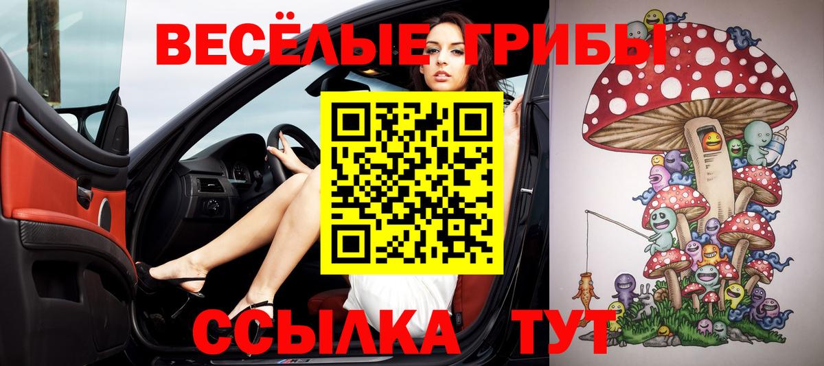купить закладку  Псилоцибиновые грибы Cubensis  Вход с VPN  Бузулук 
