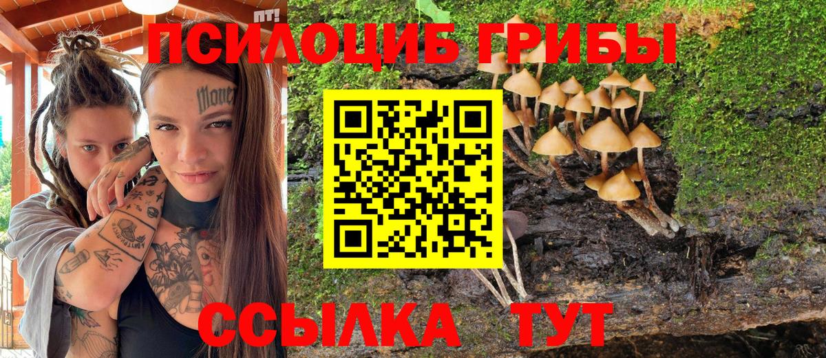 Псилоцибиновые грибы Cubensis Бузулук
